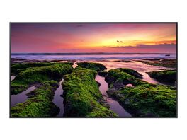 Monitor / Pantalla Digital  Signage  Samsung QB55B 55"